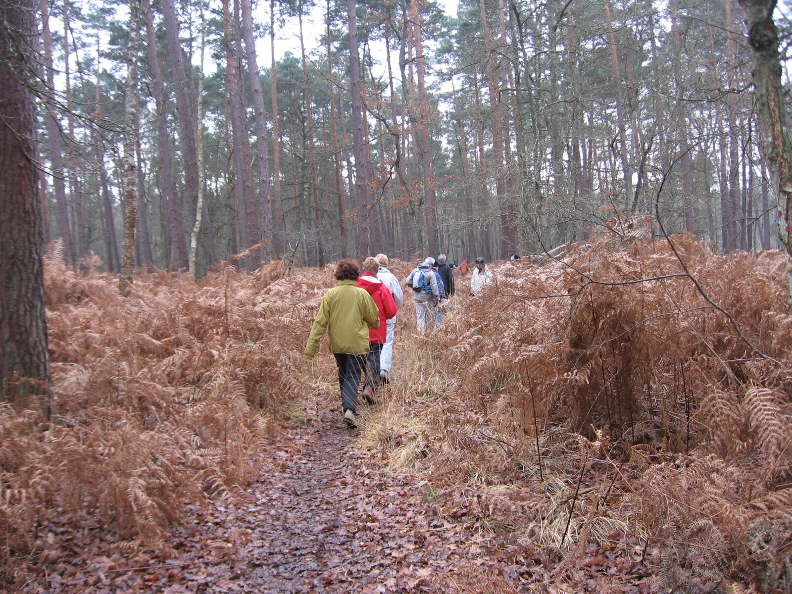 Journée conviviale en forêt d'Orléans