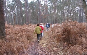 Journée conviviale en forêt d'Orléans